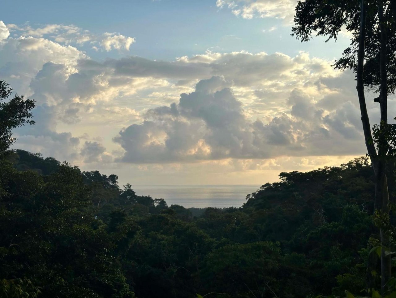 Ocean View Gated Development Lot, Dominical, Puntarenas