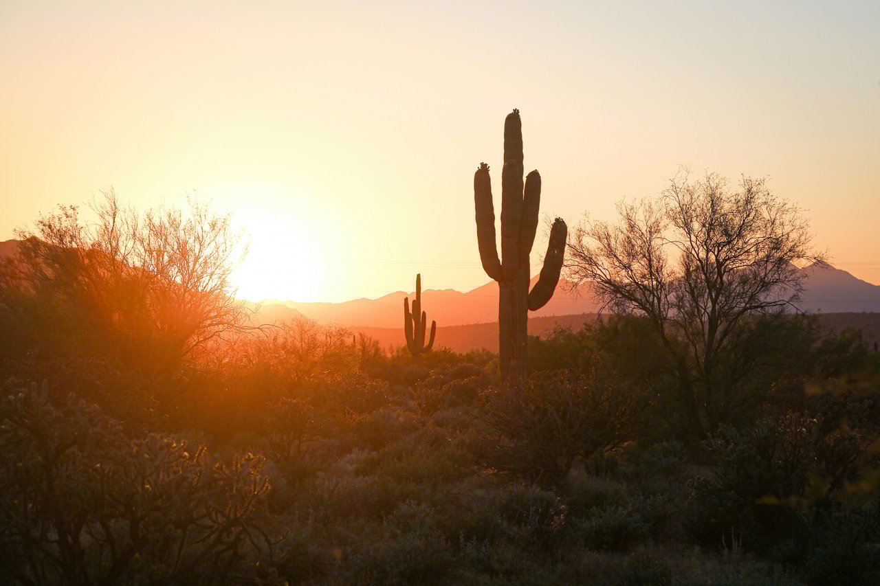 Phoenix