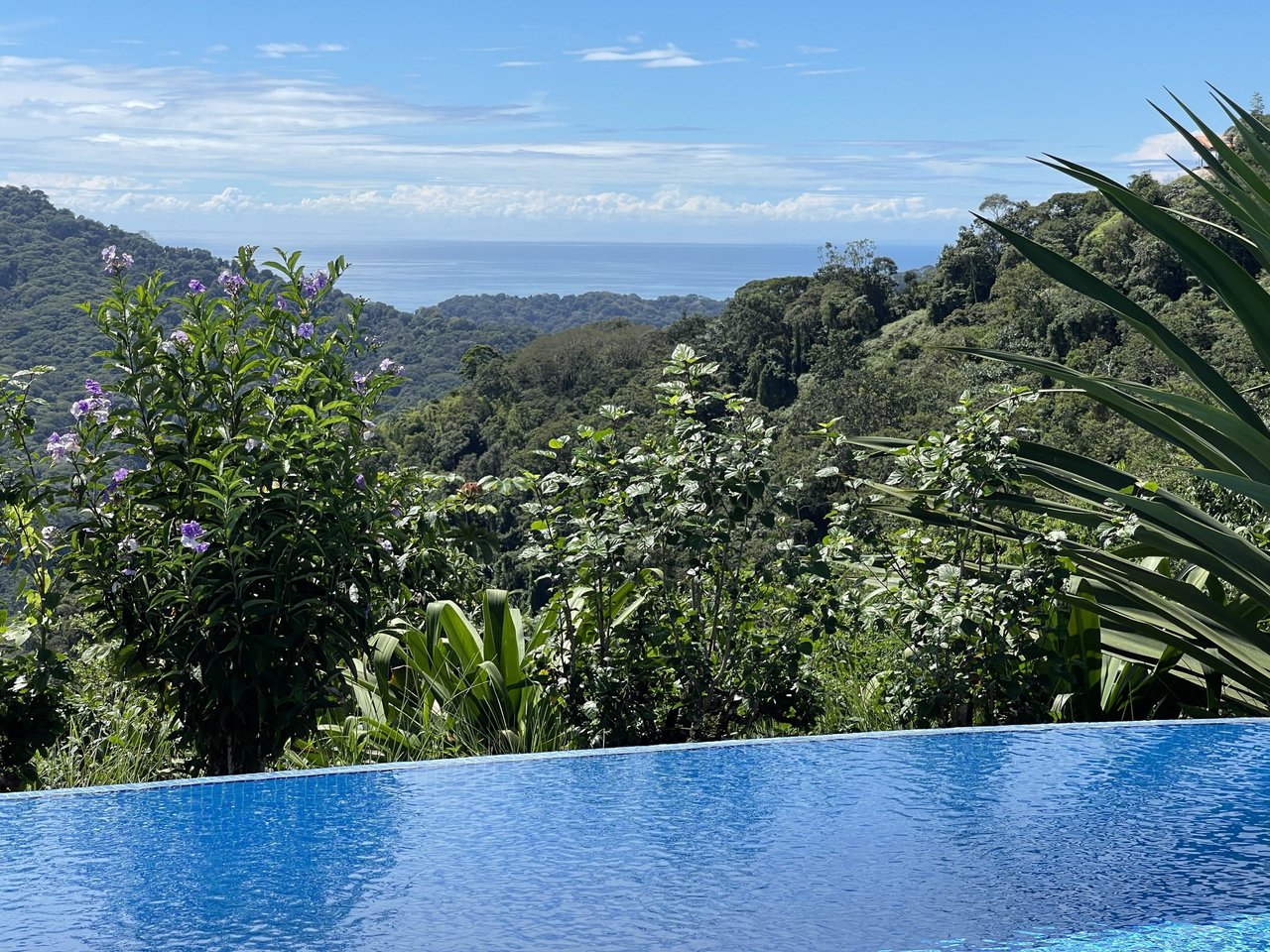 5.2 ACRES – 2 Bedroom Home With 60 Ft Infinity Lap Pool, 1 Bedroom Guest House, Fabulous Ocean View, Mature Fruit Trees!