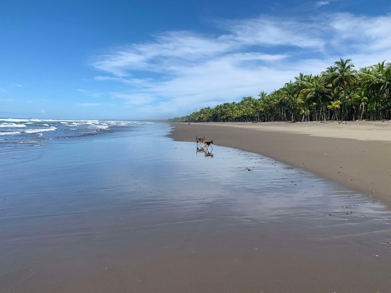 Learning to Embrace a Health and Wellness Lifestyle in Costa Rica's Southern Pacific Zone - Just Ask Us!