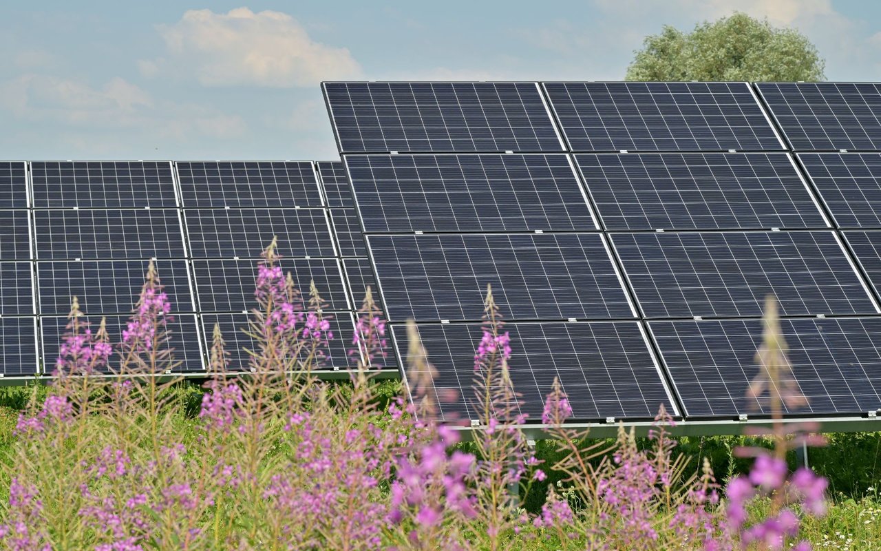 What You Can Gain by Cleaning Your Solar Panels