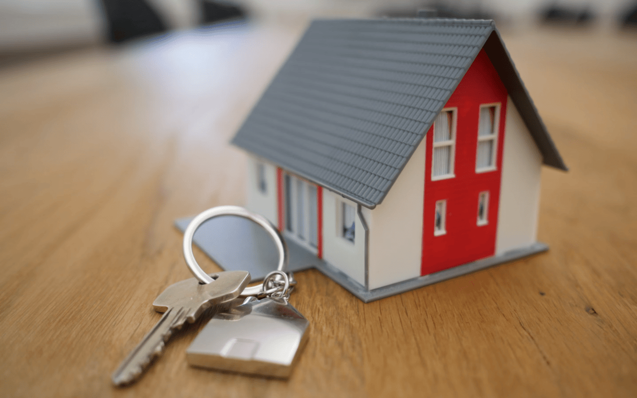 Exploring the World of Luxury Real Estate Auctions in South Tampa