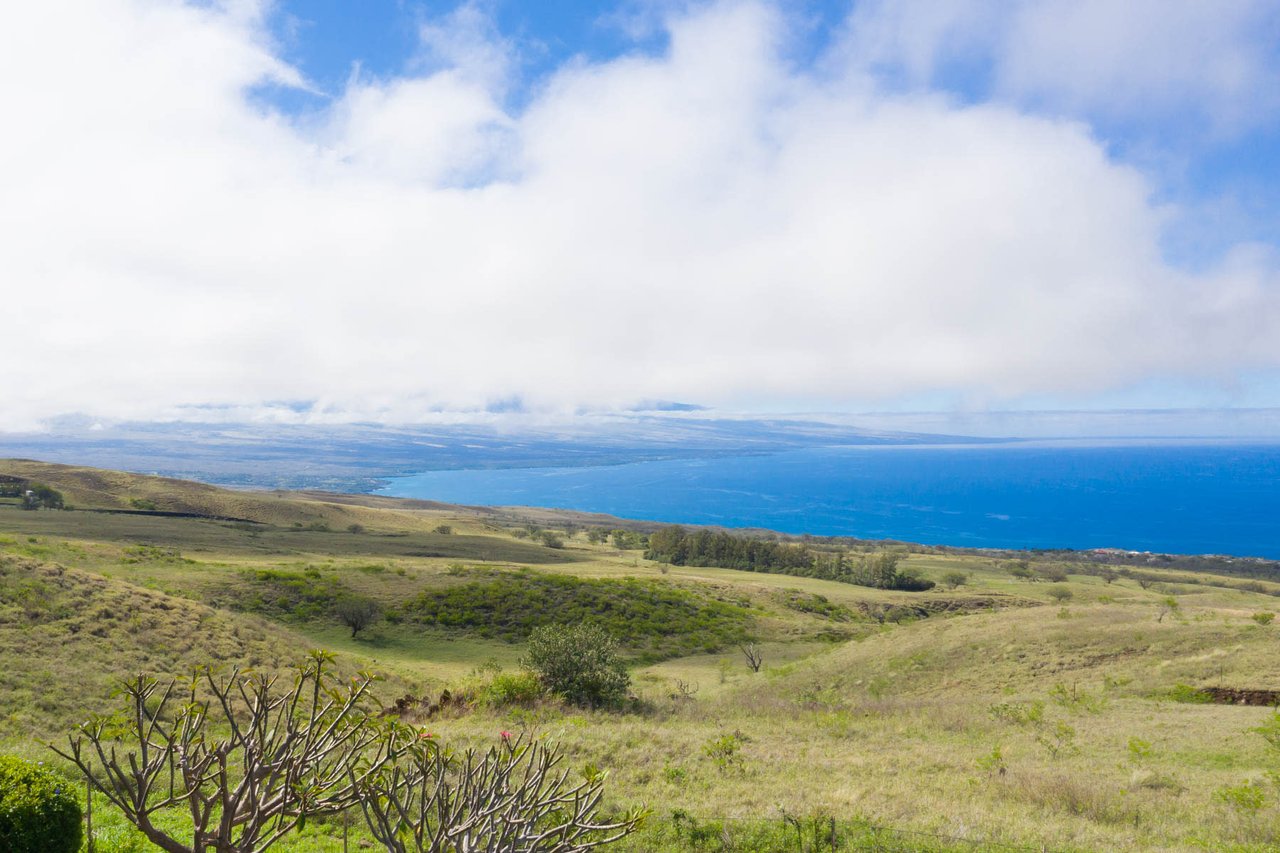 Kohala Coast