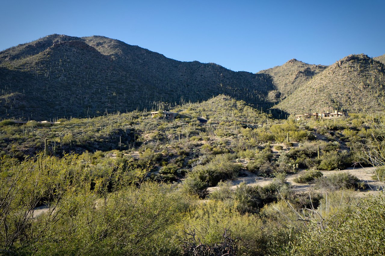 A Desert Oasis Within An Exclusive Gated Community 