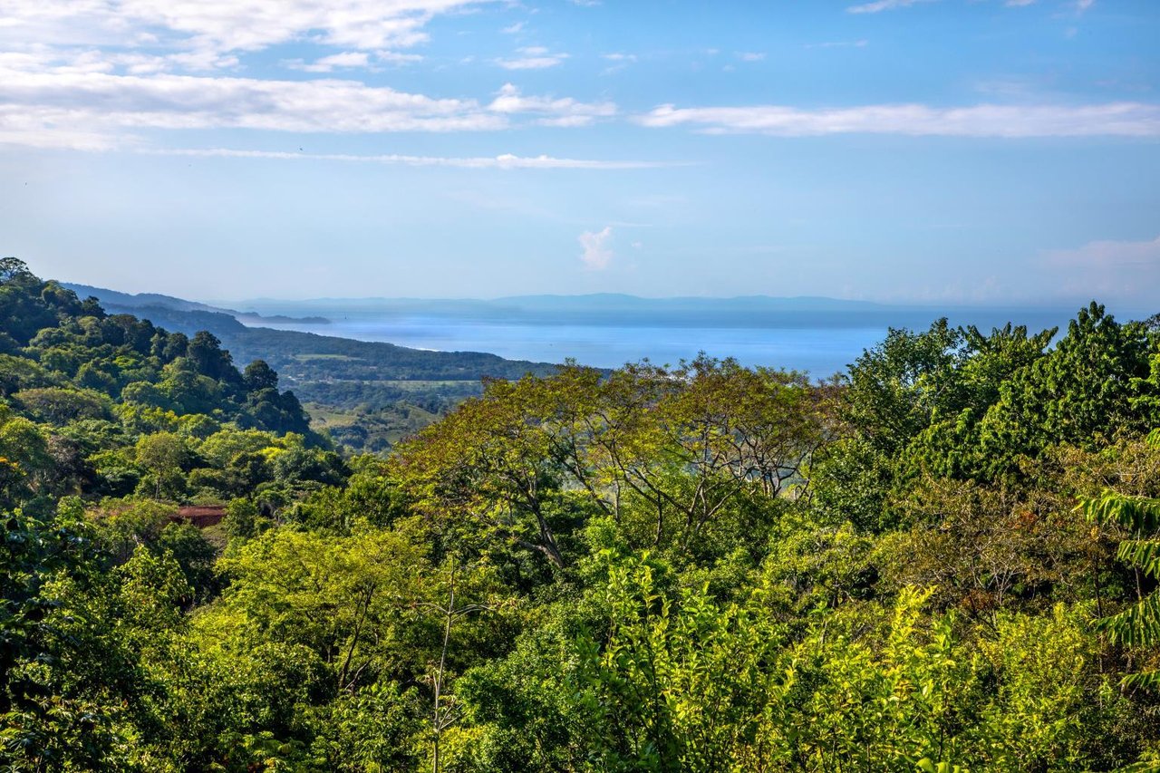 Incredible 7,000 Ft2 Ocean View Home With 200 Acre Reserve!