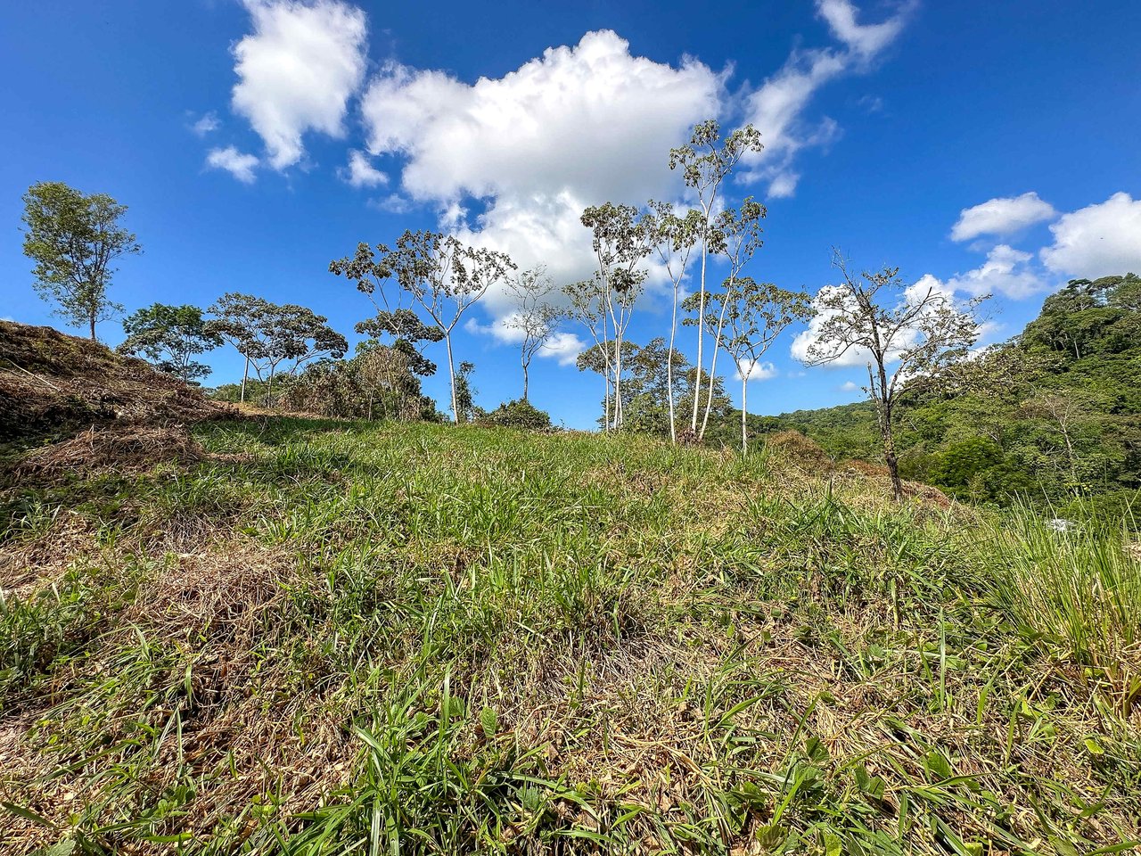 An elevated 1.2 acres lot with two plantels, panoramic mountain and jungle views.