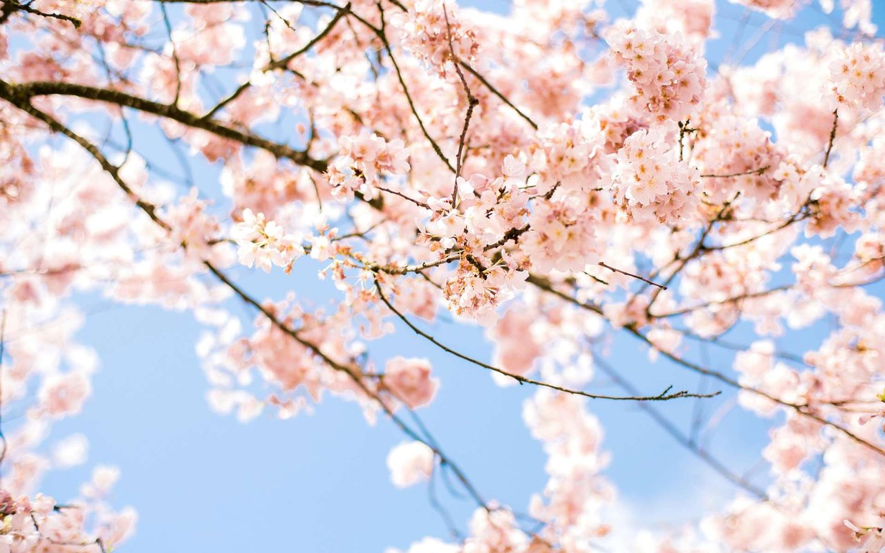 Seattle April Newsletter
