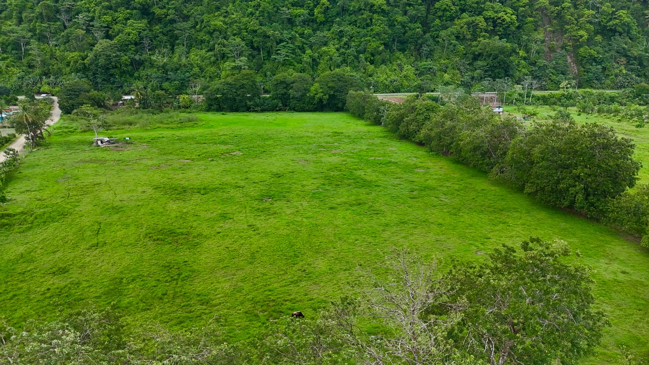 Fire Sale – Over 12 Acres of Land with Public Road Frontage Near Ojochal