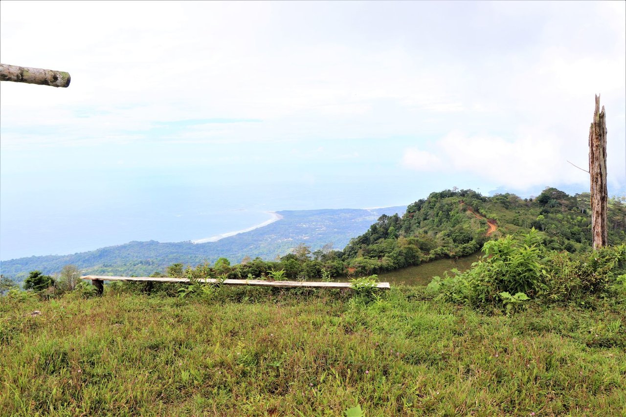 Ocean View Development Farms, Uvita, Puntarenas