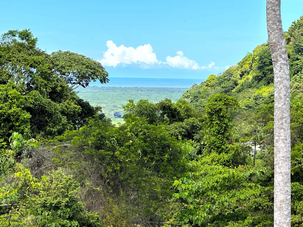 2 Acres Property with 360 Panoramic Views!