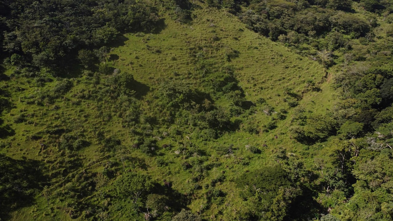 Rio Chiquito Farm | This farm offers an expansive canvas to bring your dreams to life in the majestic Guanacaste mountain rainforest region.