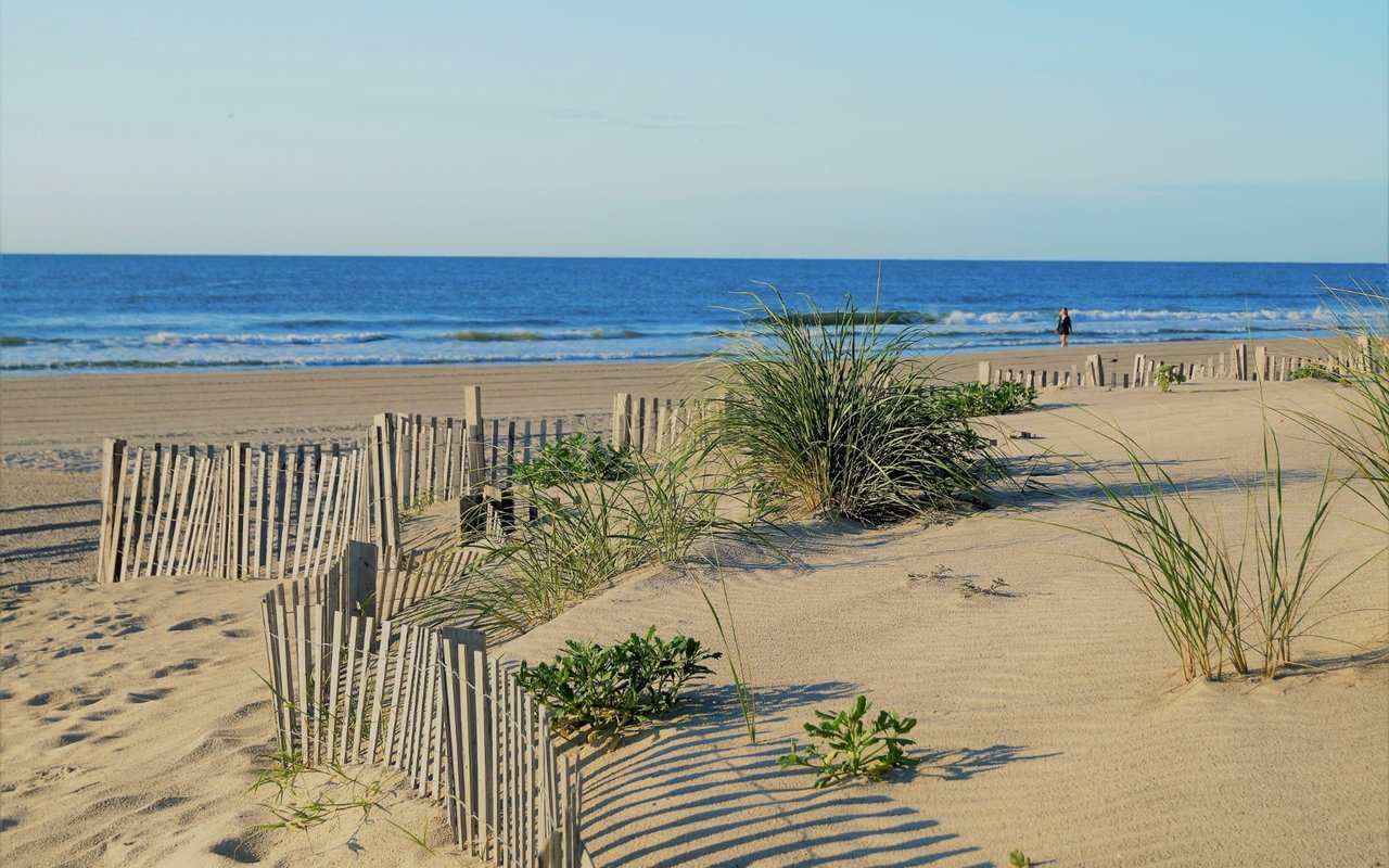 Stone Harbor