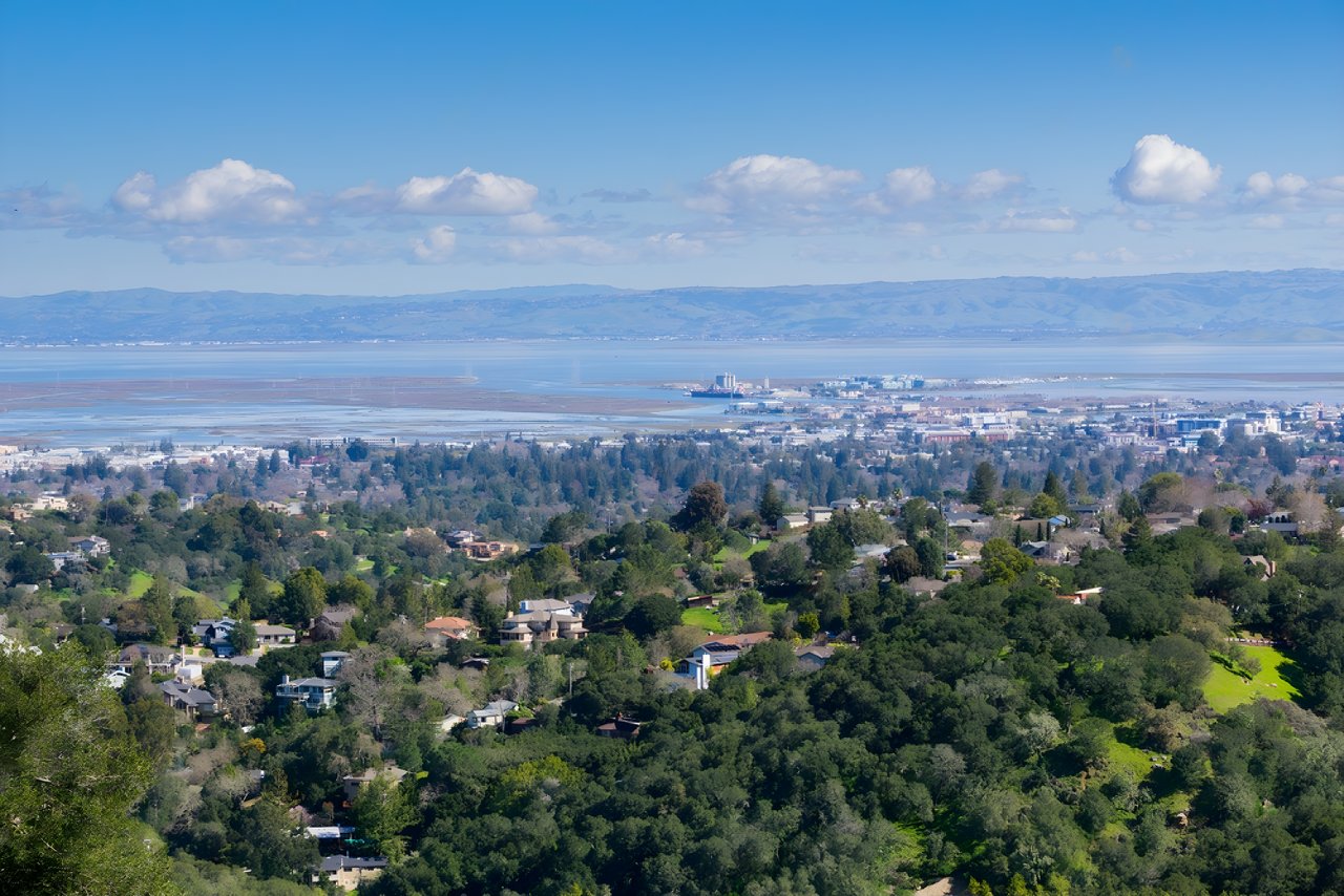 Redwood City Residential Aerial View