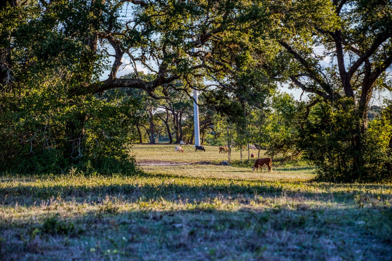 Oaks at Round Top- Tract 3