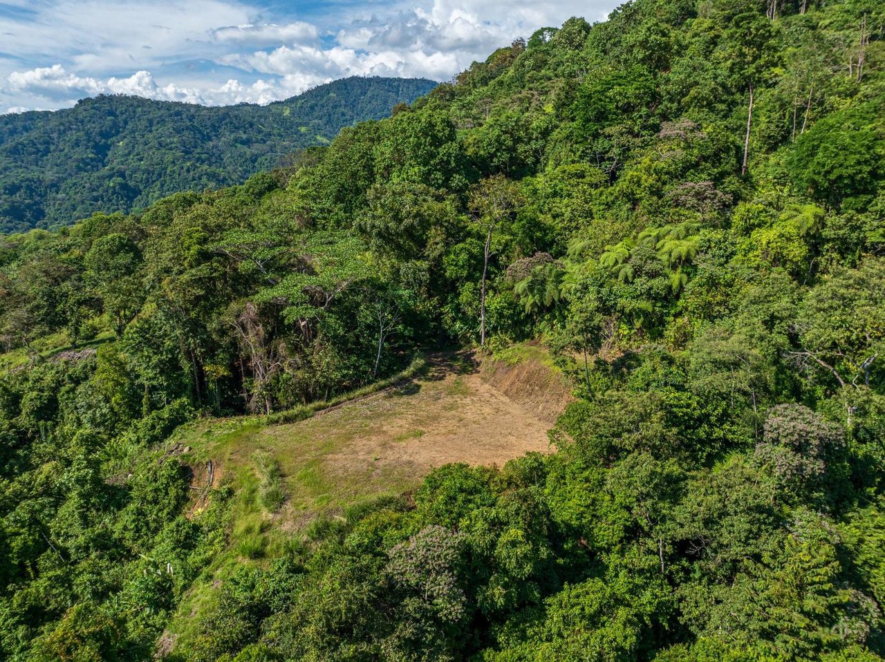 Premier Ocean View Development Land, Manuel Antonio, Puntarenas