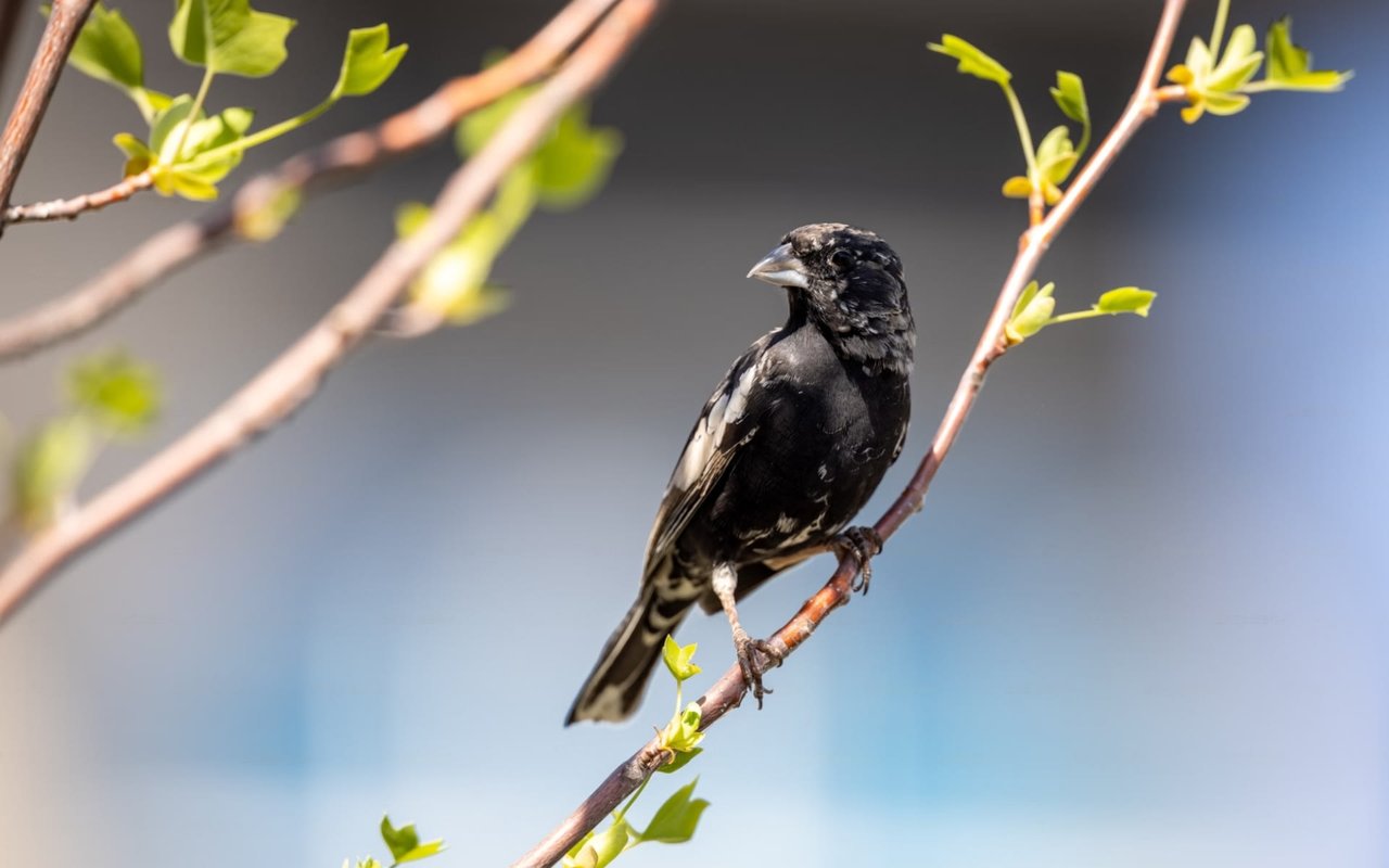 11 Best Neighborhoods to Live in Lakewood