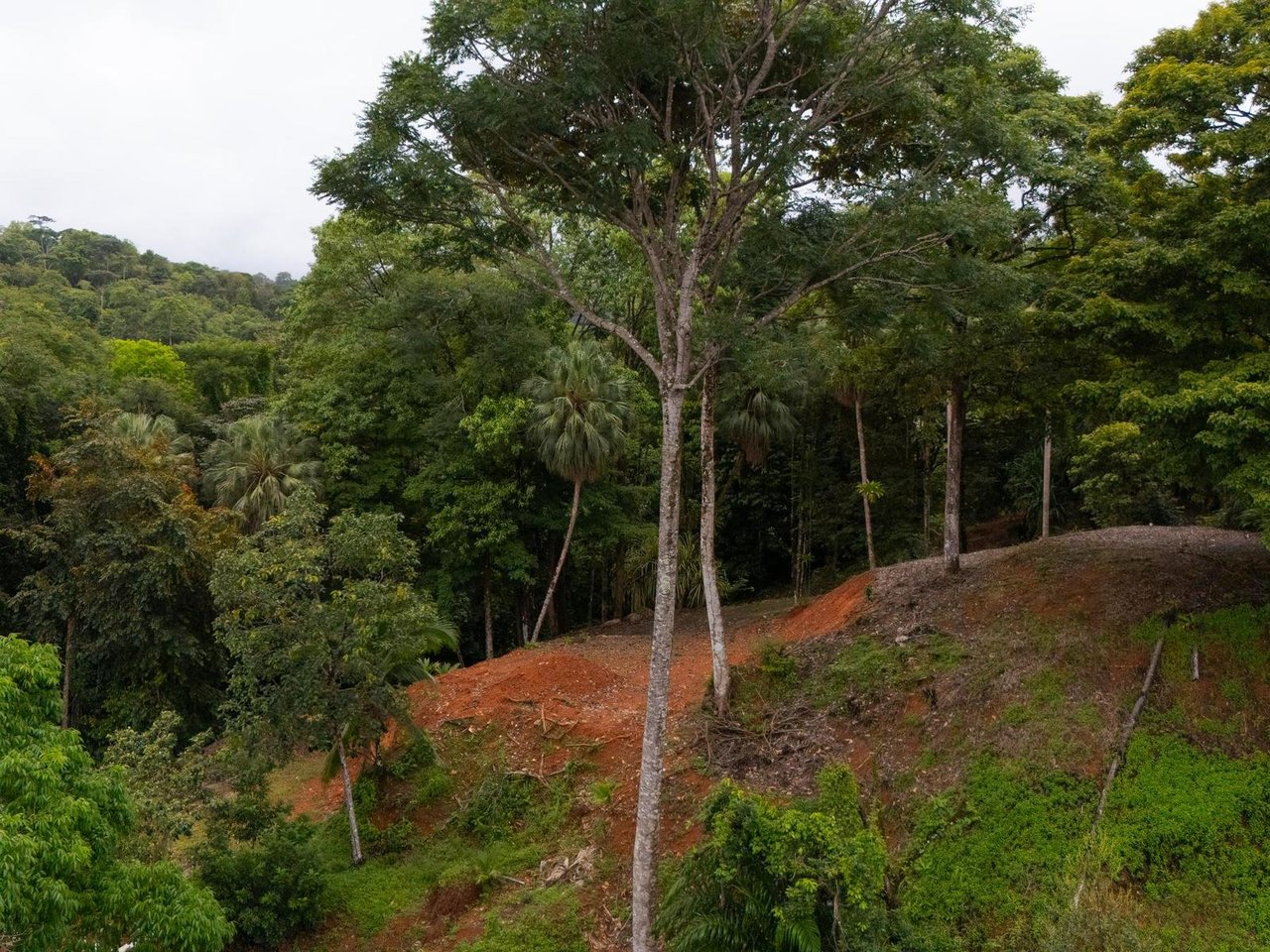 Prime Highway Commercial Lot, Uvita, Puntarenas