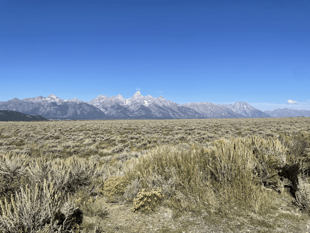 SUmmer image of tetons taken from Kelly Wyoming