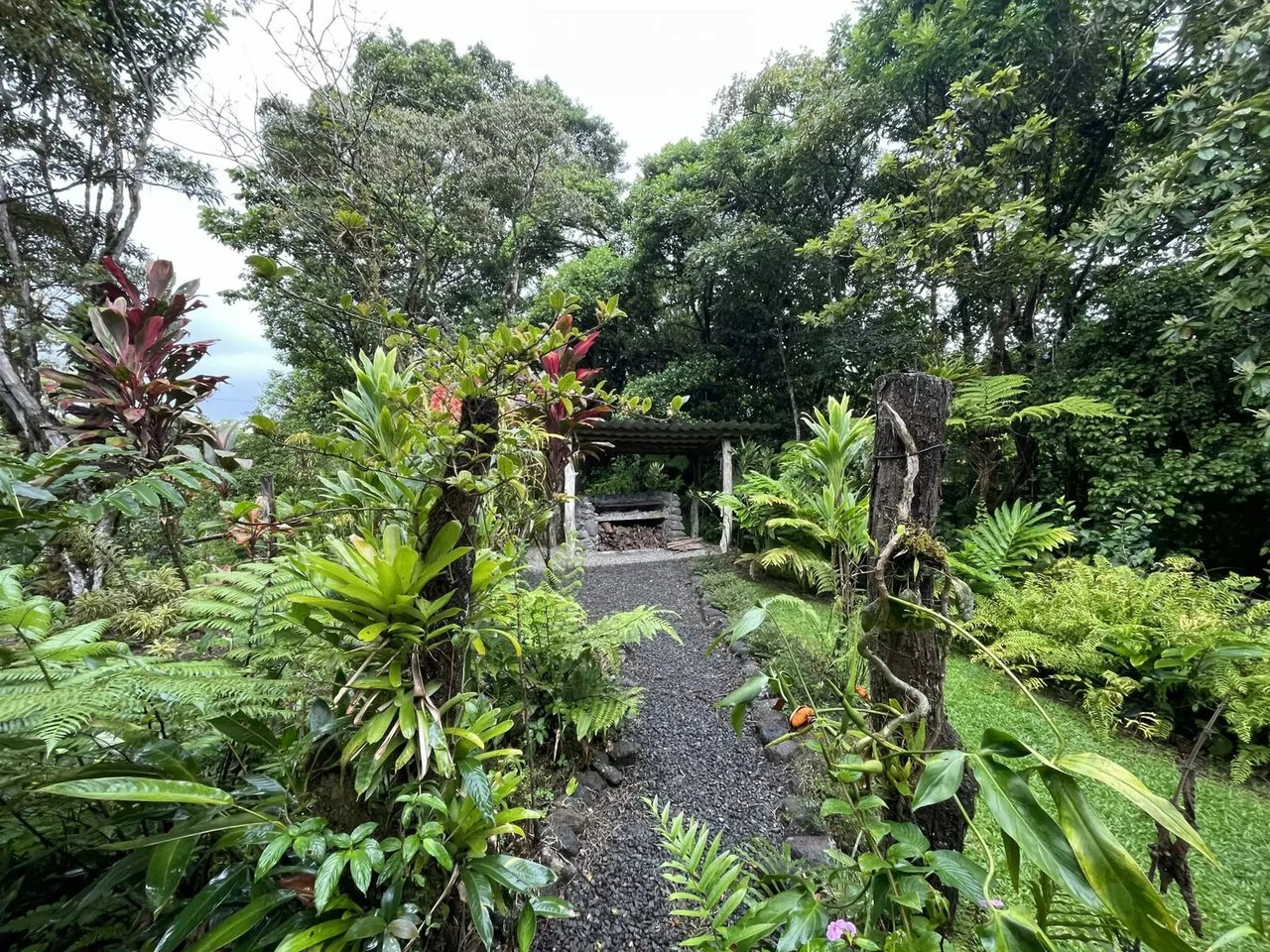 Adventure Tourism Development Land, Lake Arenal, Alajuela