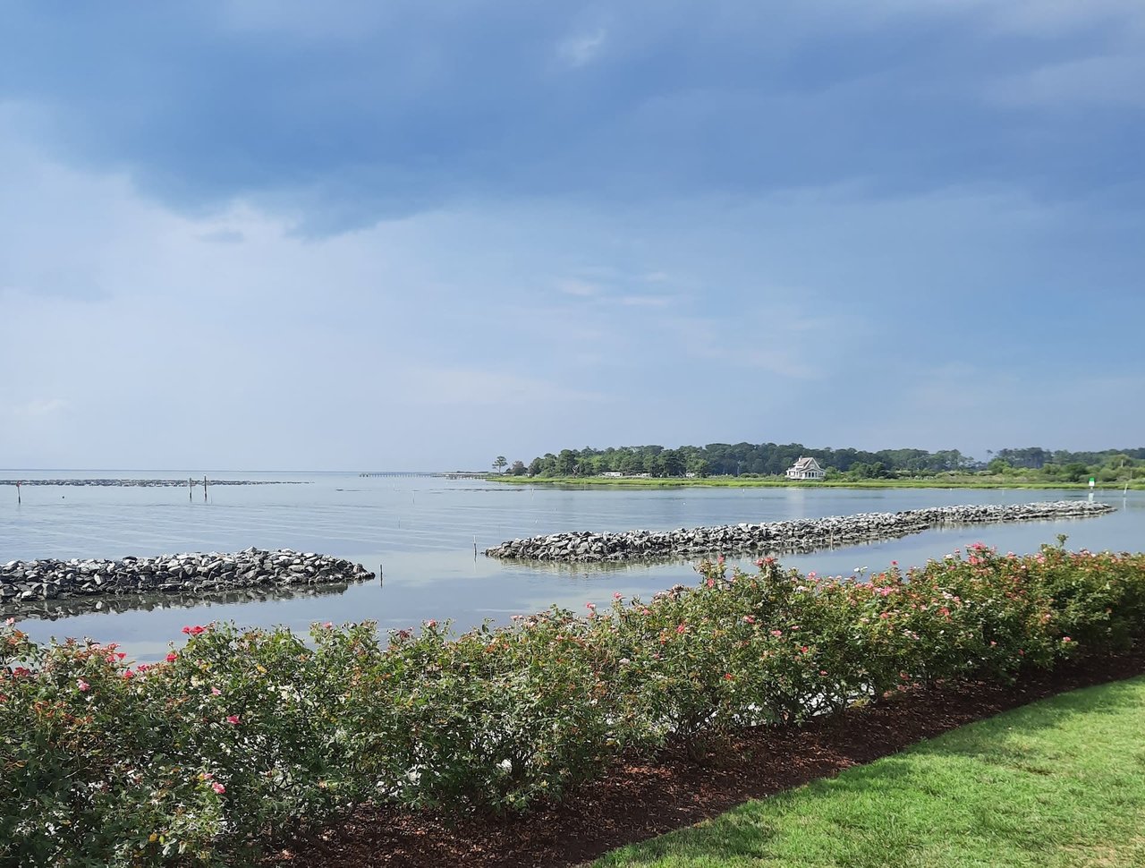 Cotuit: Coastal Tranquility and Timeless Beauty