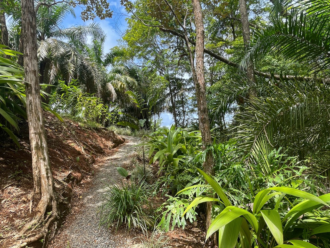 Overlooking Playa Hermosa, Uvita, Puntarenas