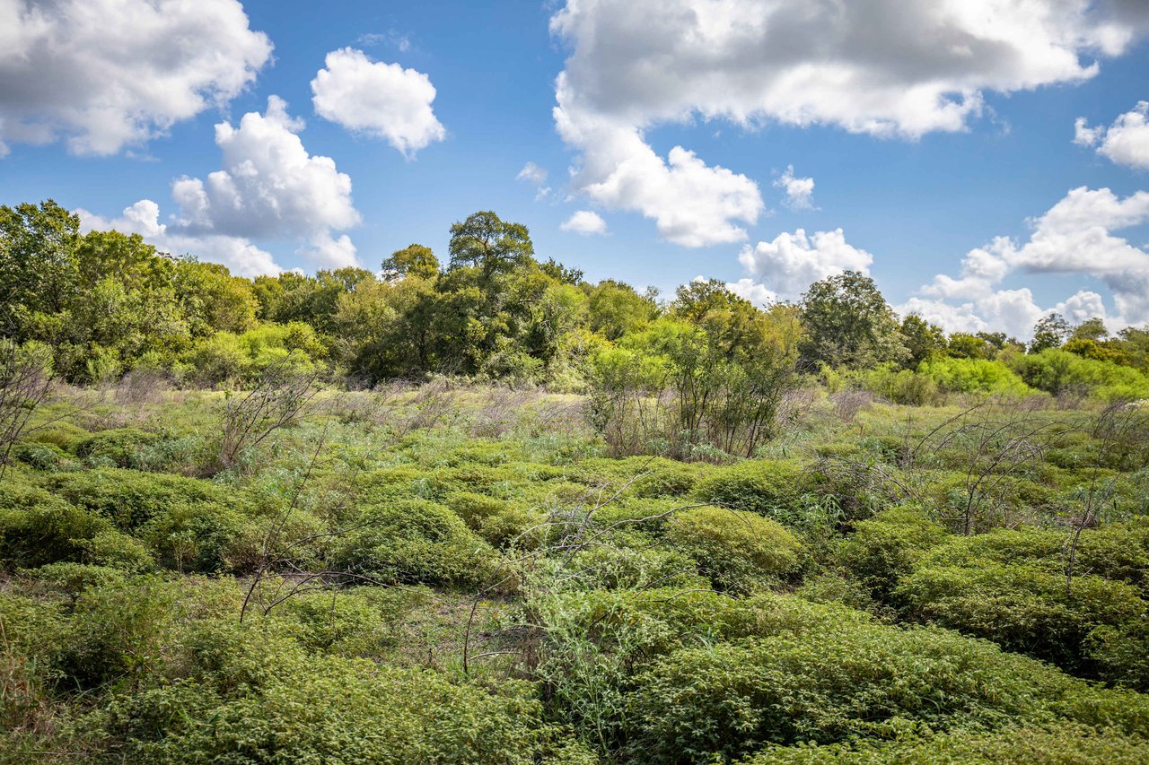 Lovers Lane River Ranch | 140± Acres | DeWitt County