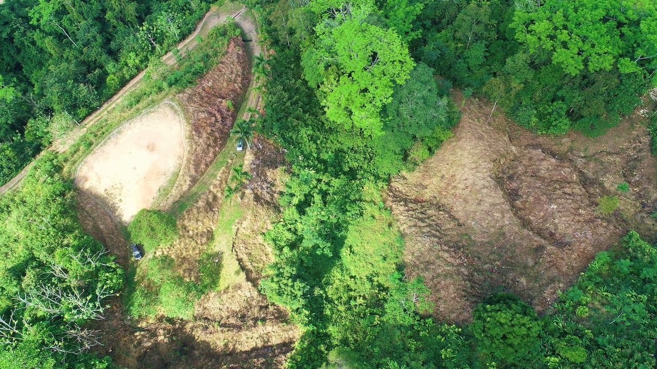 Ocean View Gated Development Land, Ojochal, Puntarenas