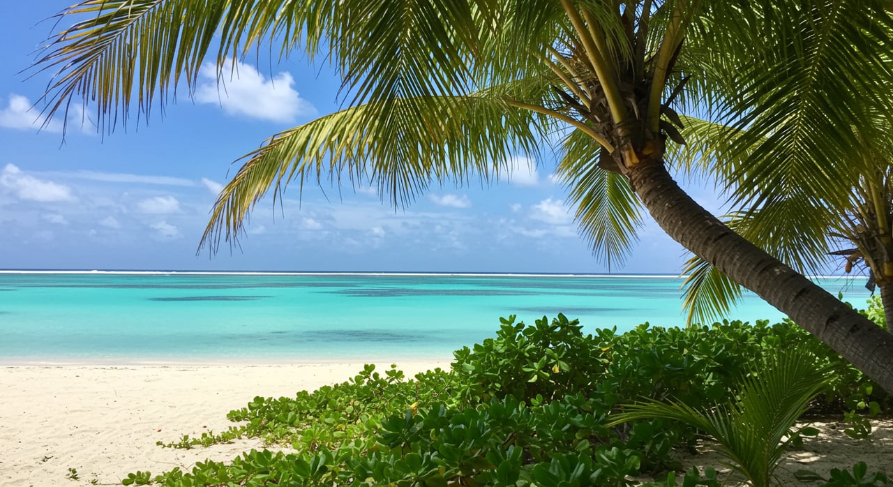 Breaking Real Estate News for Jupiter and Jupiter Inlet Colony