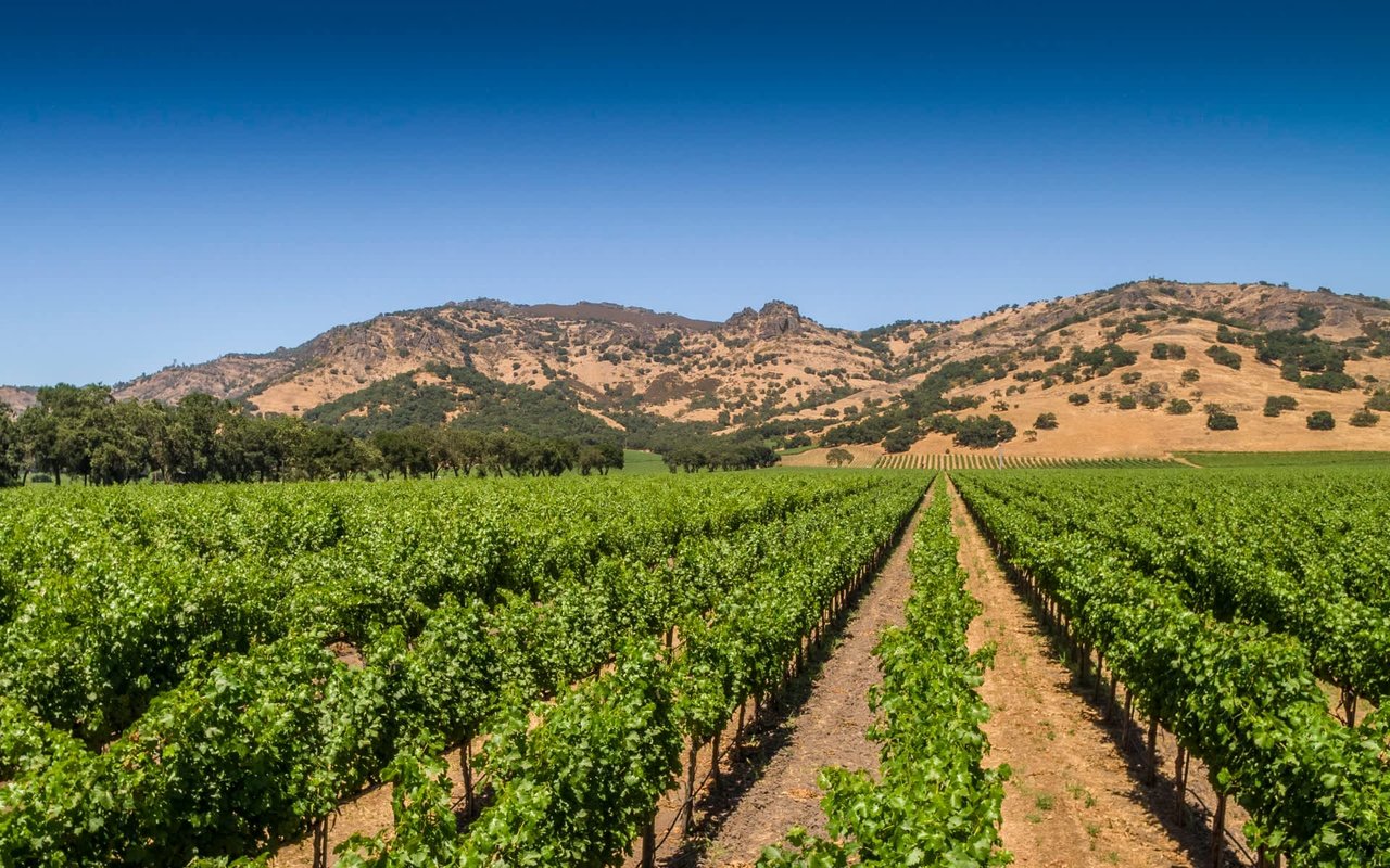 Stag's Leap, Napa Valley
