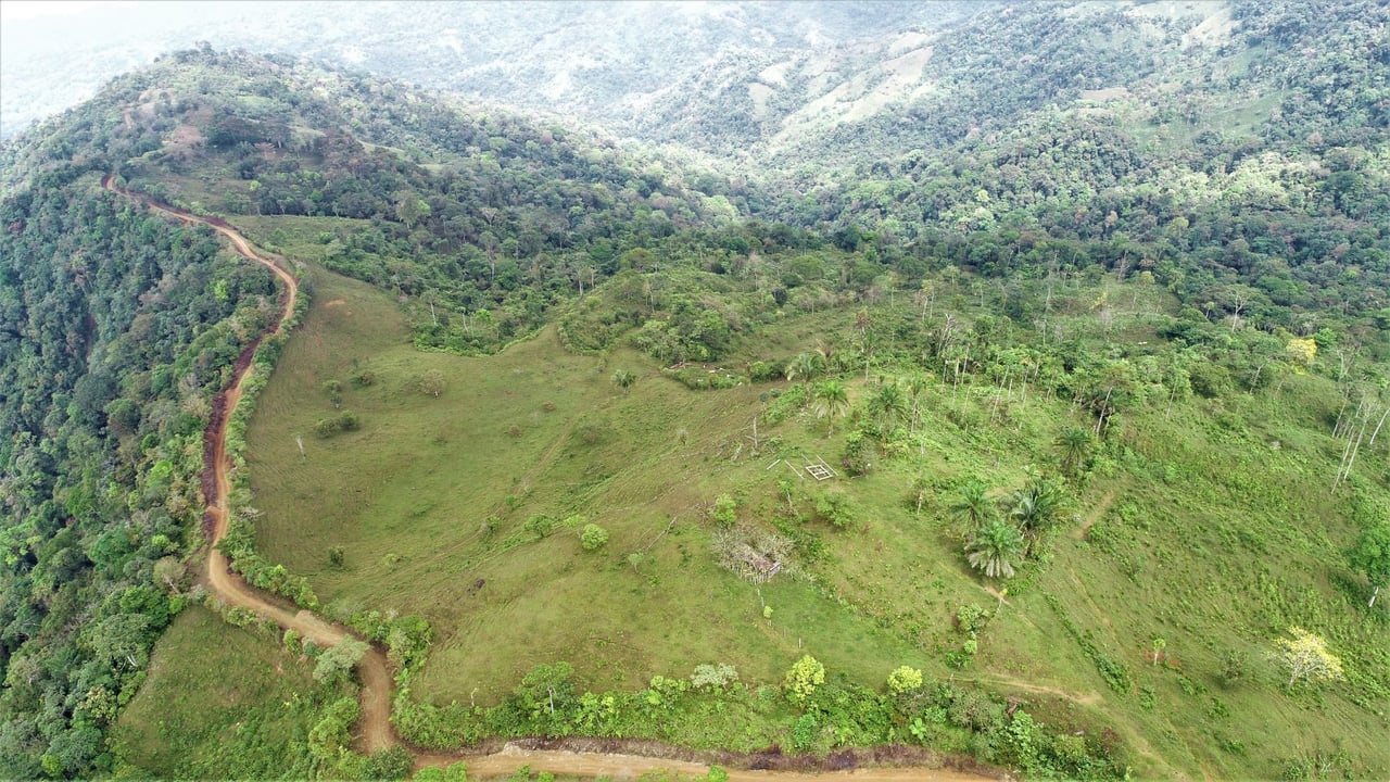 Ocean View Development Farms, Uvita, Puntarenas