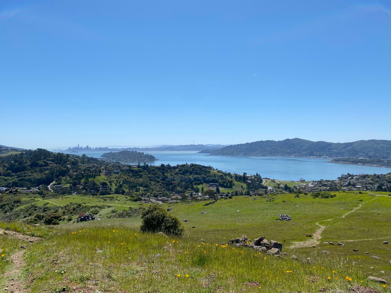 Marin View Hike