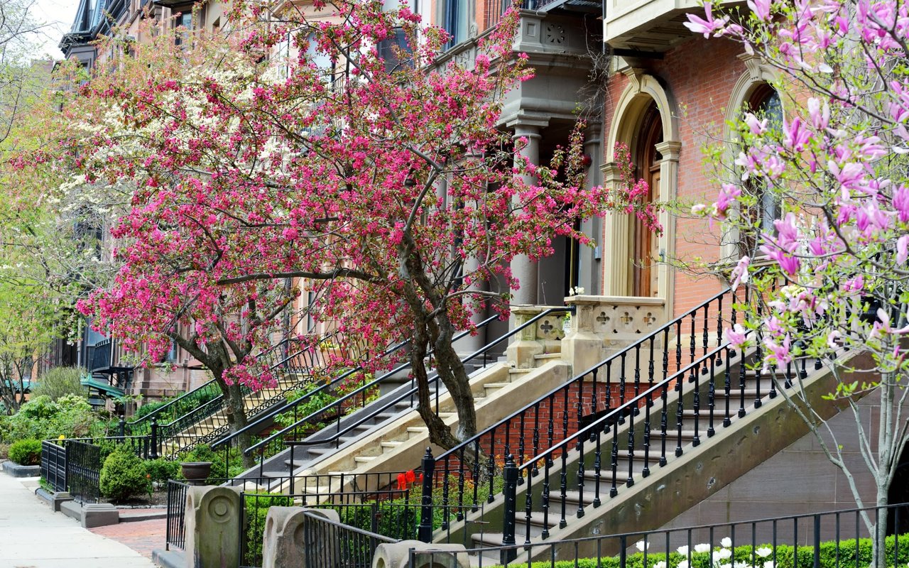 Back Bay