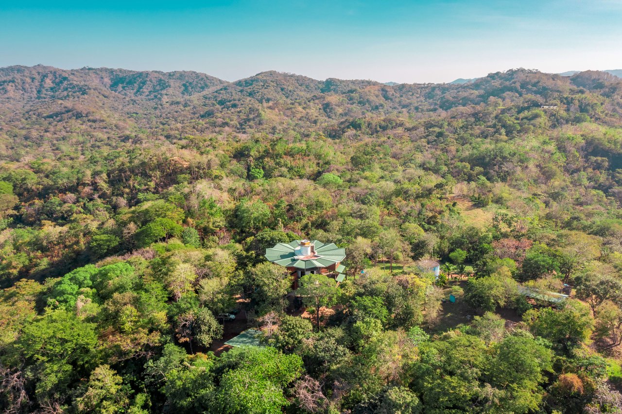 Pura Jungla Tower | Your Ultimate Nature Retreat in Guanacaste