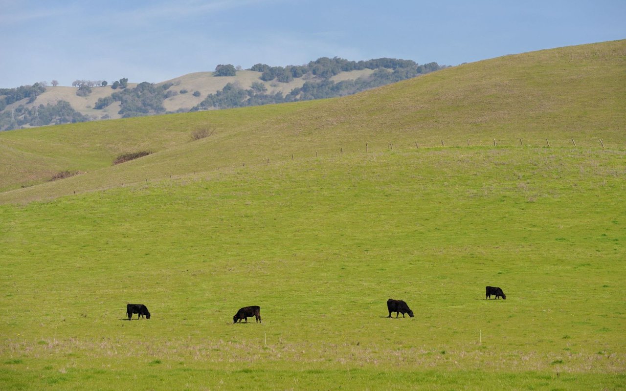 Rohnert Park