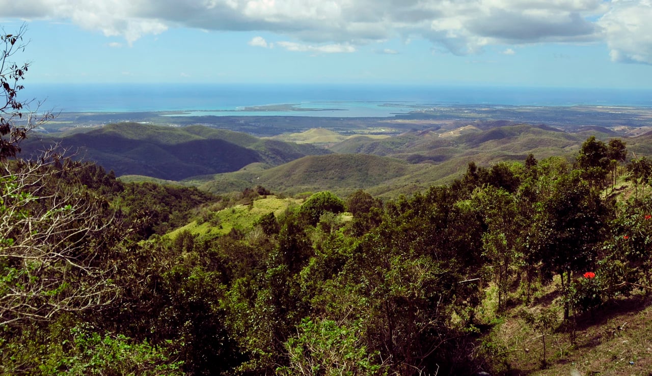 Jajome Alto Sector  La Alturita