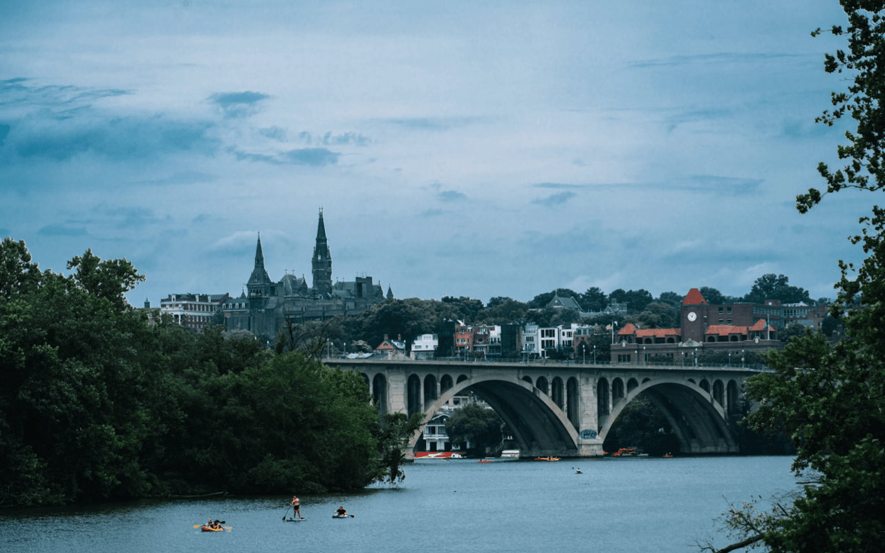  A wide shot of a river with several people on paddleboards and in kayaks, framed by lush green trees on both sides.