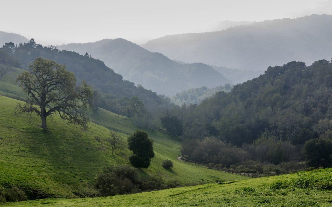 Los Altos Hills