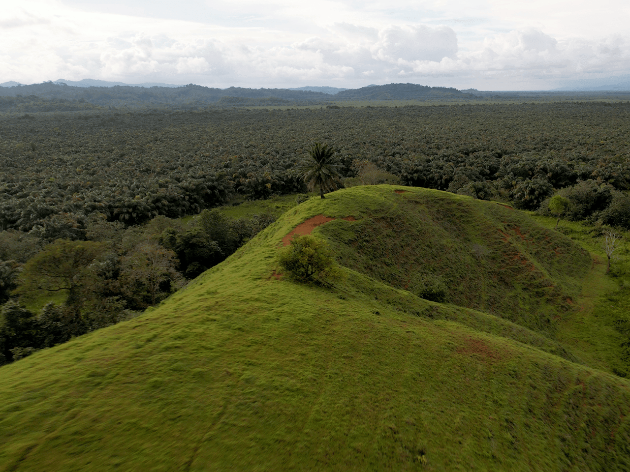 382 Acres of Sierpe River Wild Lands