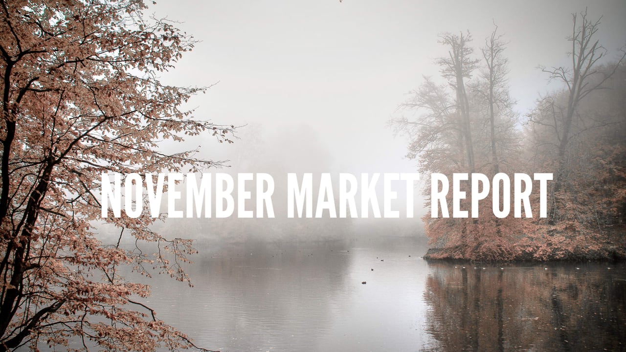 November 2022 Market Report