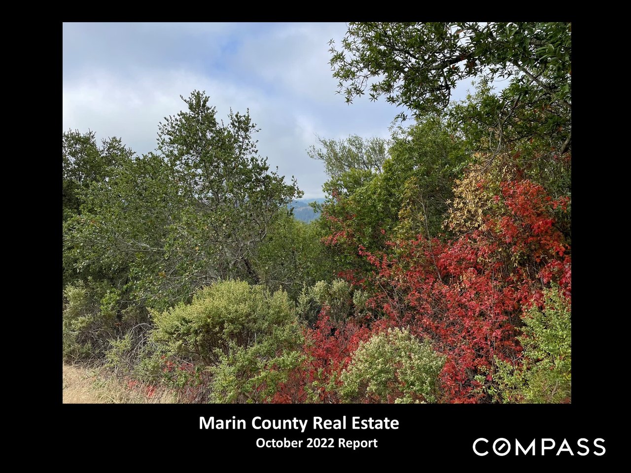 Marin Market Report | October 2022