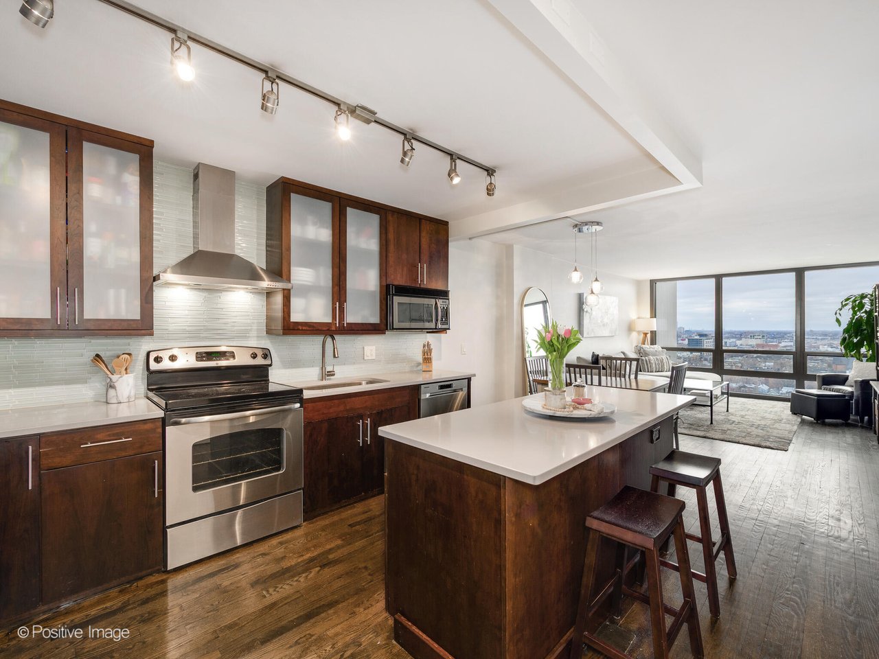 1636 N Wells St Unit 2008