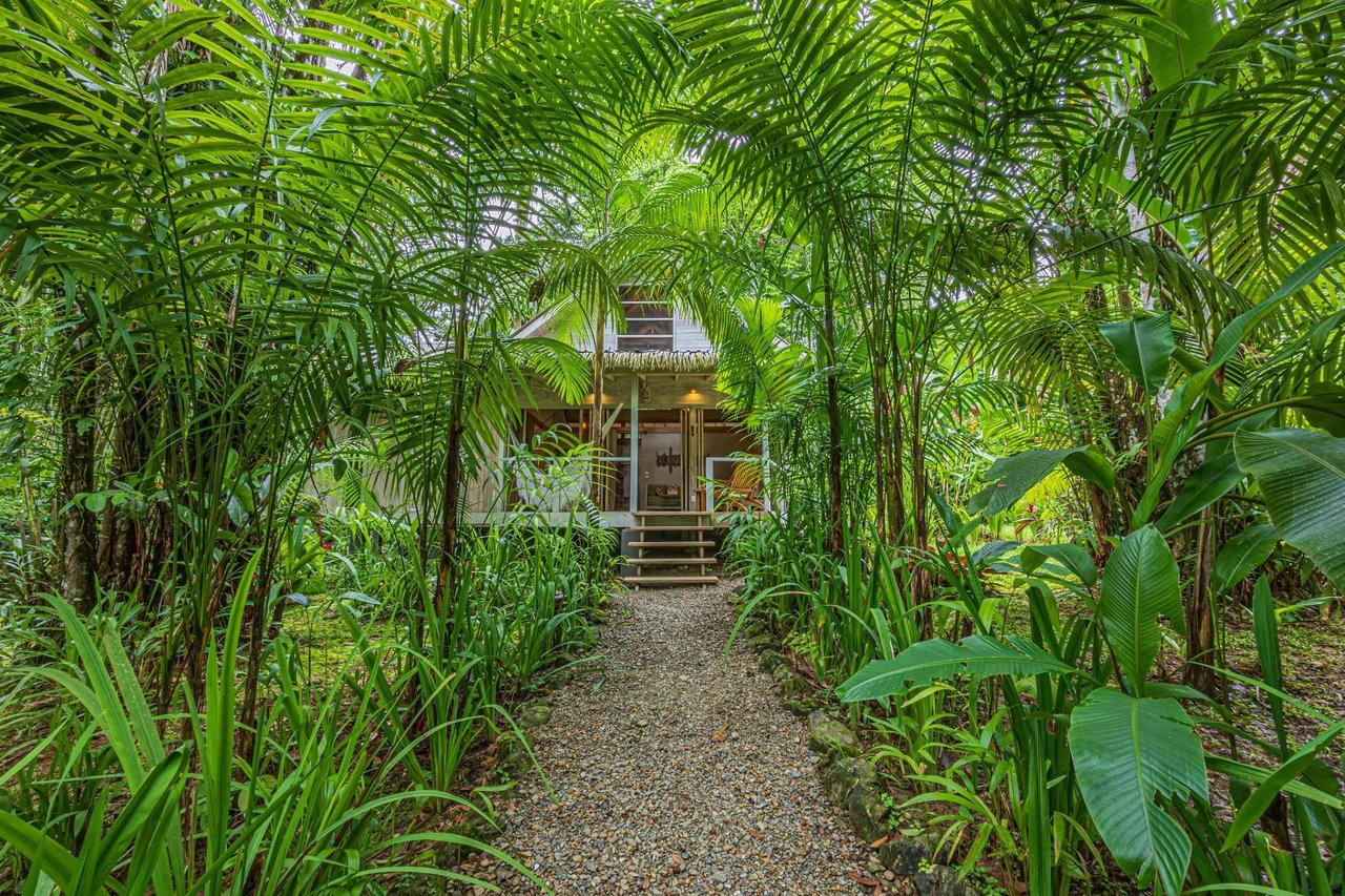 Private Beachfront Rainforest Estate, Osa, Puntarenas