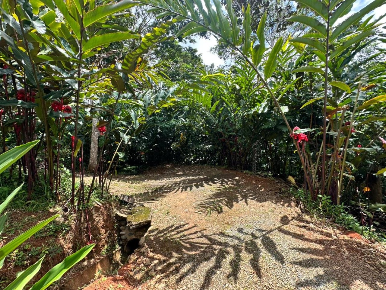 Waterfall Eco Hotel Estate, Perez Zeledon, San Jose