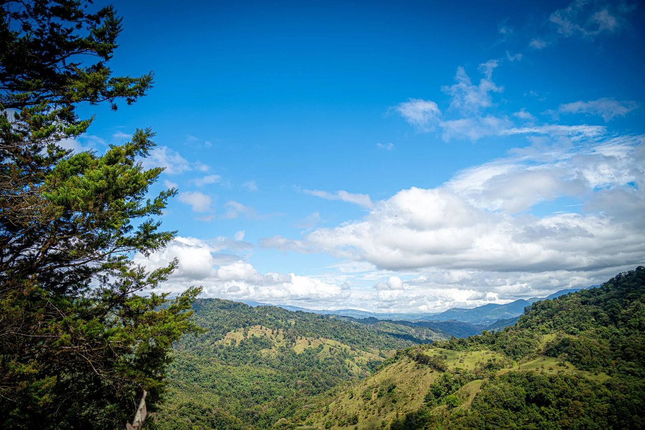Sustainable Mountain Cabin, Cartago