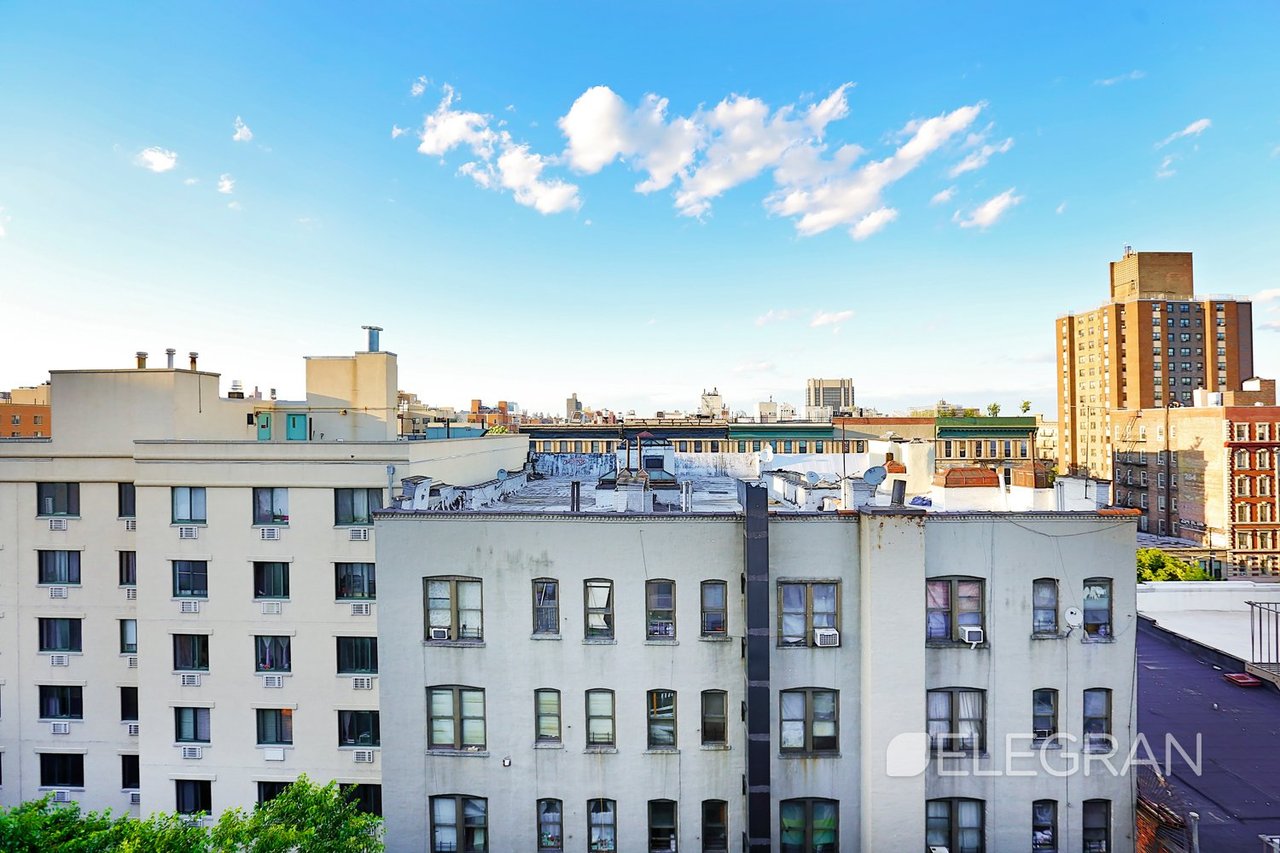 Delany Lofts