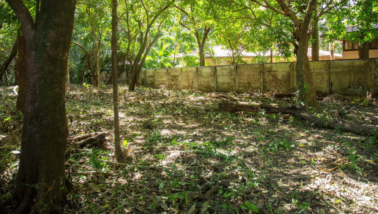 Refuge Bordering Commercial Land, Nosara, Guanacaste