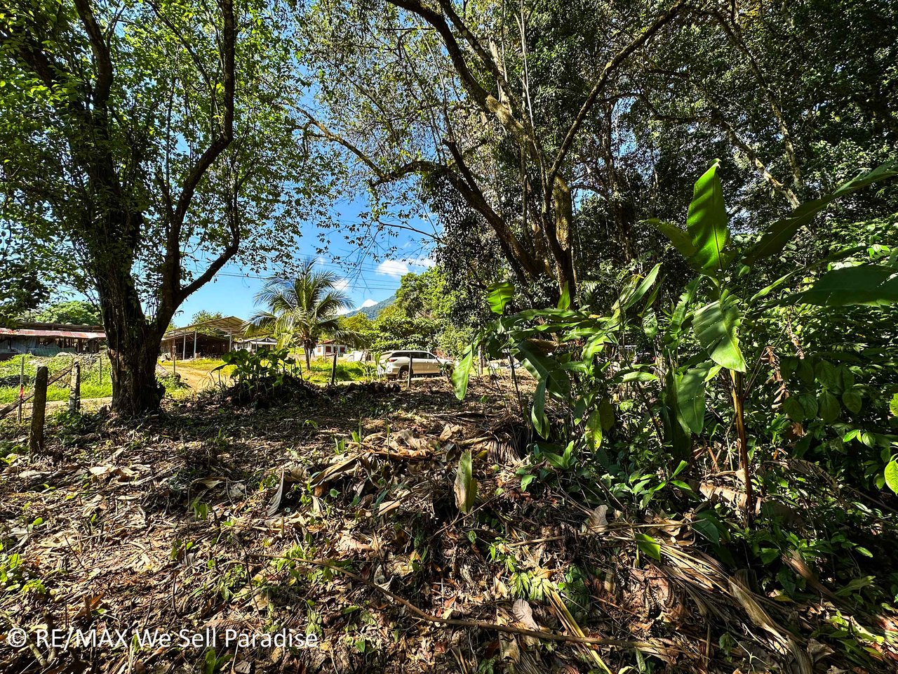 A large jungle-clad piece of land with mountain views, internal creek, and river frontage.