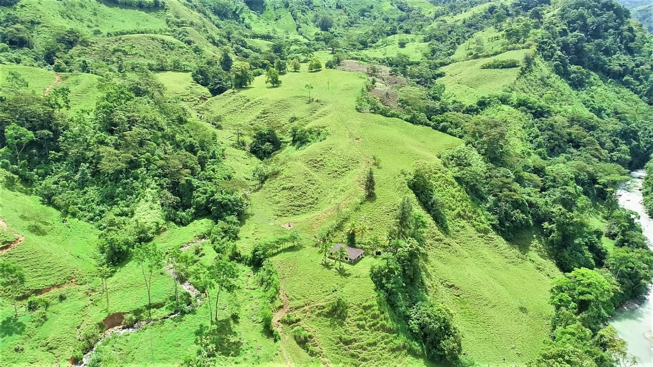 Riverfront Forest Farm, Perez Zeledon, San Jose