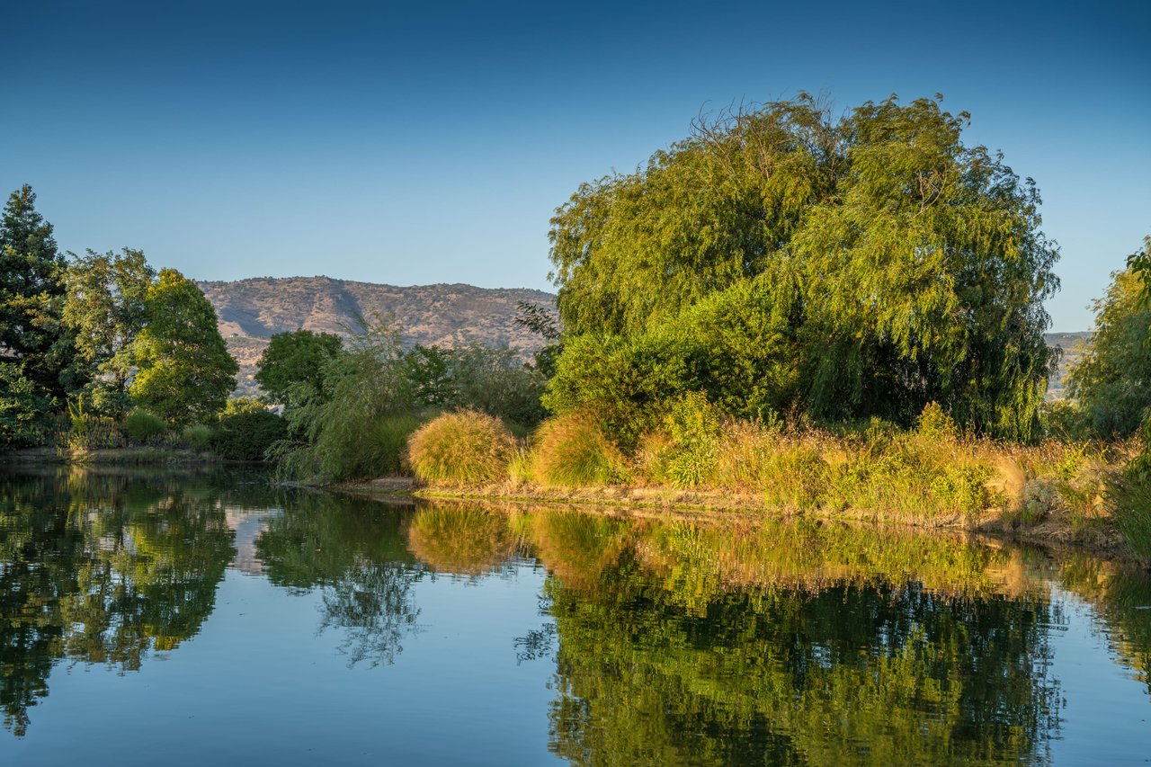 Oak Knoll Avenue, Napa