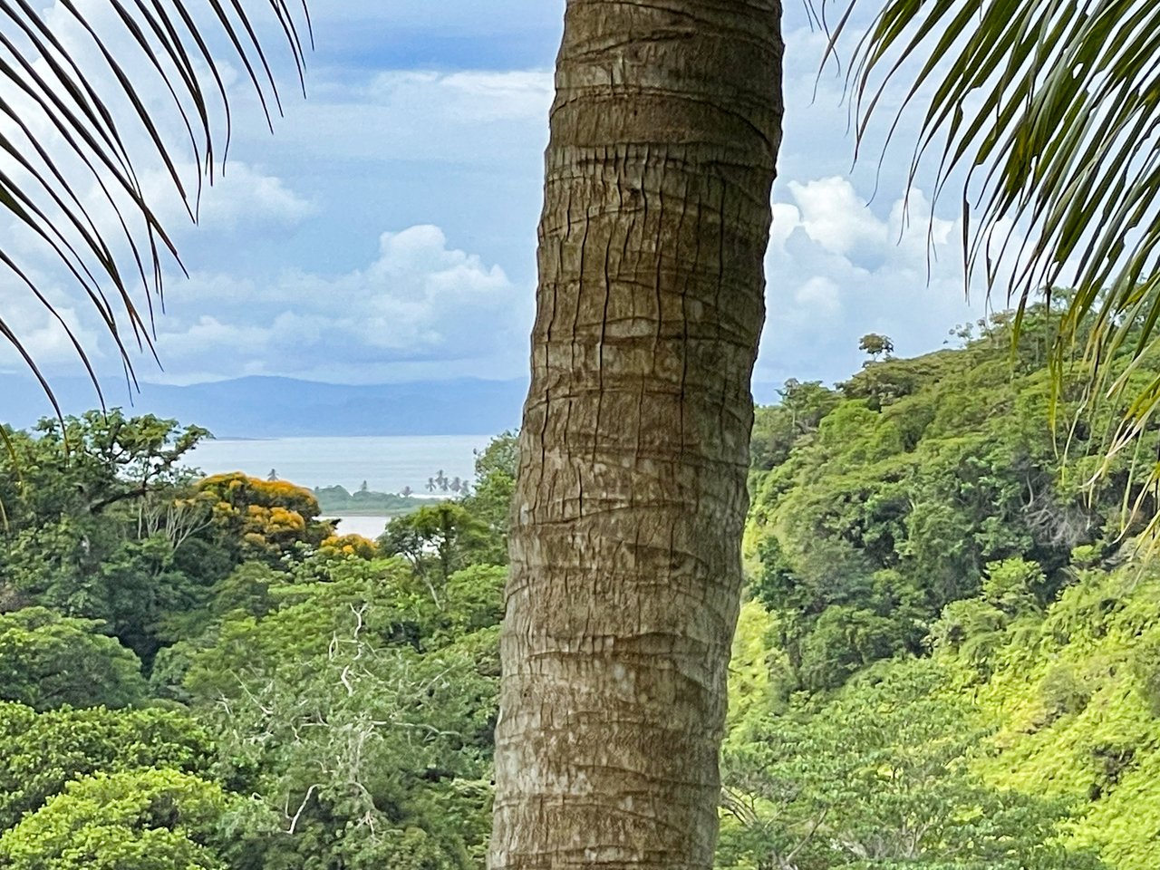 Ocean View Home With Expansion Sites, Ojochal, Puntarenas